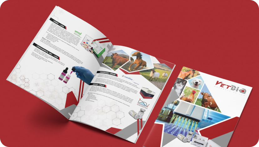 Brochure — 8